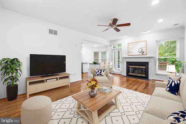 living room with a wealth of natural light, light hardwood / wood-style flooring, ceiling fan, and ornamental molding