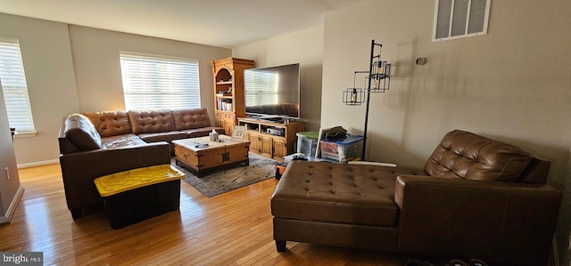 living room featuring wood-type flooring