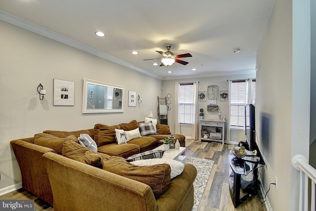 living room with hardwood / wood-style floors, ceiling fan, and ornamental molding