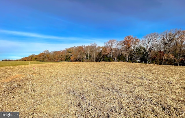 Ferny Hills Ln, Leonardtown, MD 20650