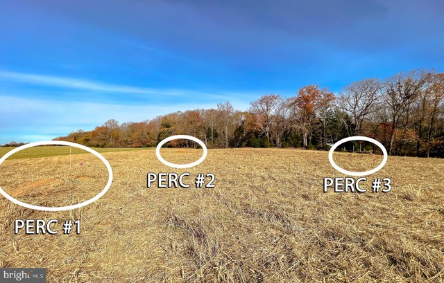 Ferny Hills Ln, Leonardtown, MD 20650