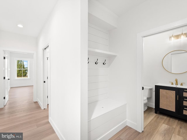 interior space featuring light hardwood / wood-style flooring and sink