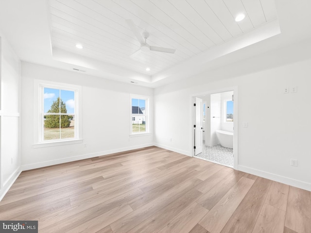 empty room featuring light wood-type flooring, a raised ceiling, and a wealth of natural light