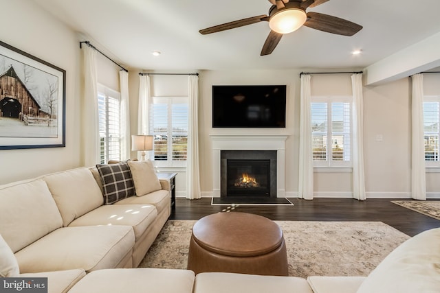 living room with a wealth of natural light, dark hardwood / wood-style flooring, and ceiling fan