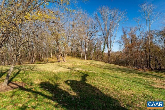 4679 Jeffersonton Rd, Jeffersonton, VA 22724 - view of green lawn with a wooded view