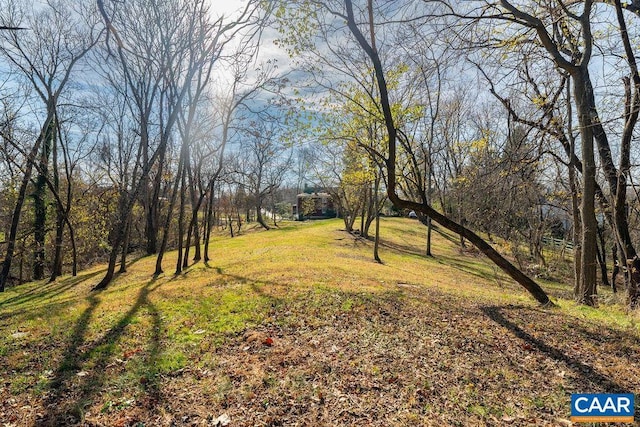 4679 Jeffersonton Rd, Jeffersonton, VA 22724 - view of grassy yard