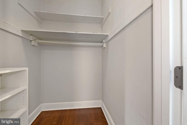 spacious closet with dark hardwood / wood-style flooring