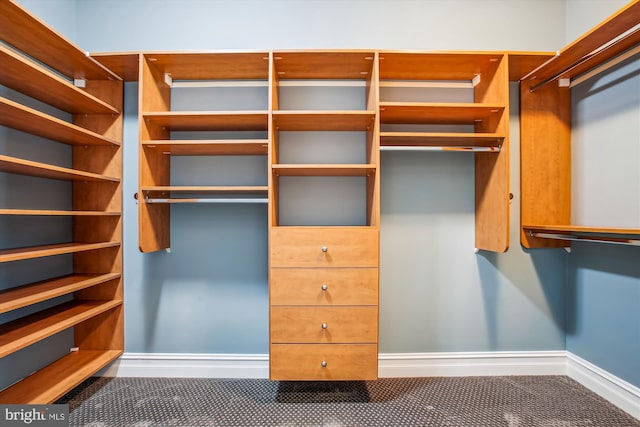 view of walk in closet