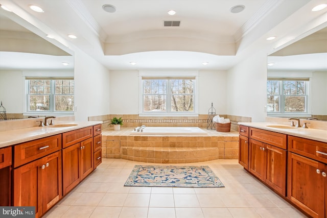 bathroom featuring a tray ceiling, a wealth of natural light, and ornamental molding