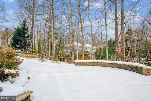 view of yard covered in snow