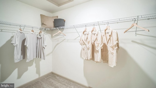 spacious closet featuring carpet floors