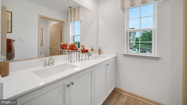 bathroom with vanity and wood-type flooring