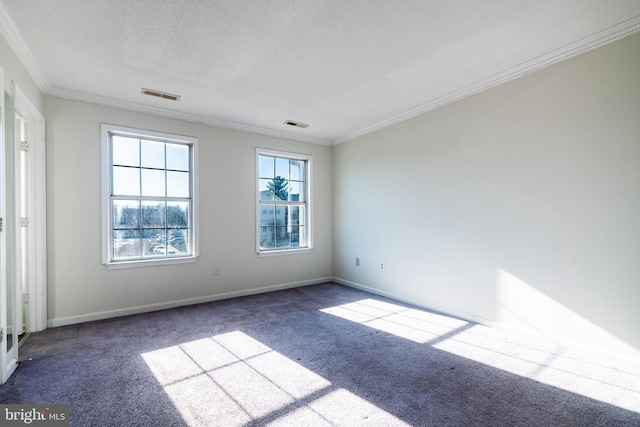 carpeted spare room featuring crown molding and a textured ceiling