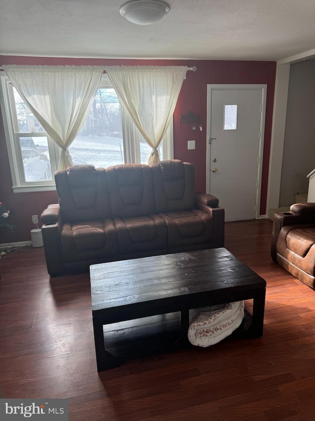 living room with hardwood / wood-style flooring and a wealth of natural light