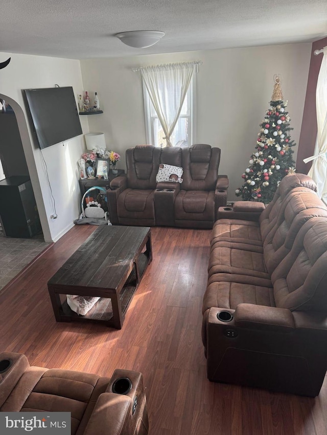 living room featuring hardwood / wood-style floors and a textured ceiling