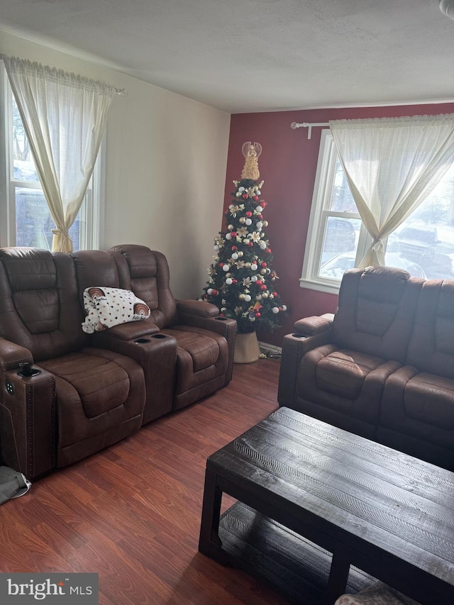 living room featuring wood-type flooring