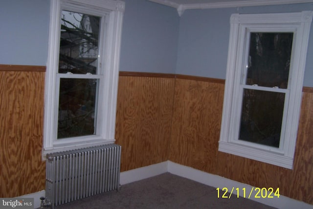 303 W Patterson St, Lansford, PA 18232 - empty room featuring radiator, a wainscoted wall, and crown molding