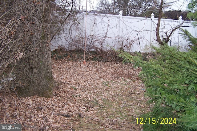303 W Patterson St, Lansford, PA 18232 - view of nature