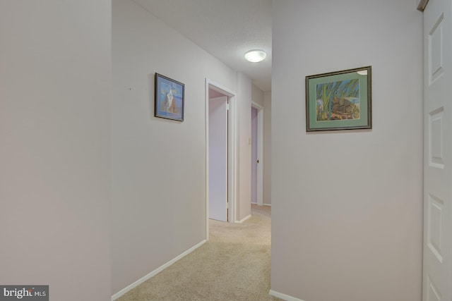 corridor featuring light colored carpet and a textured ceiling