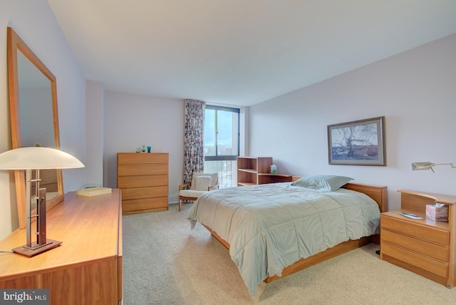 bedroom featuring light colored carpet