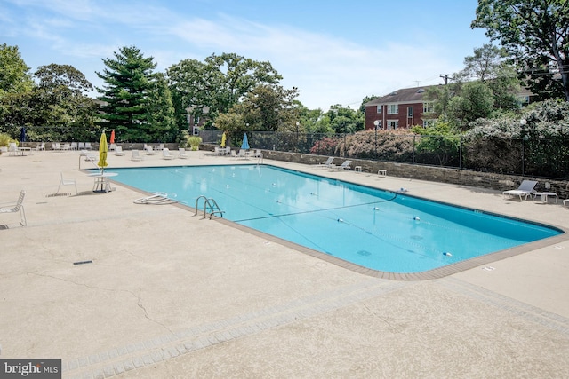 view of swimming pool with a patio