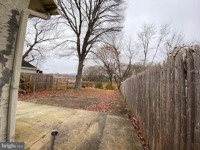 view of yard featuring a patio