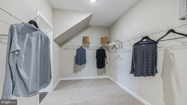 walk in closet featuring carpet flooring