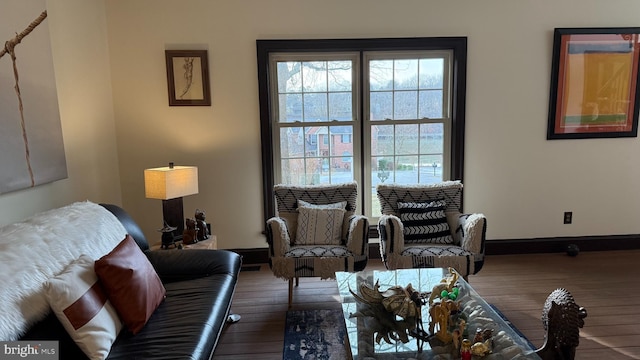 living room with a wealth of natural light and hardwood / wood-style floors