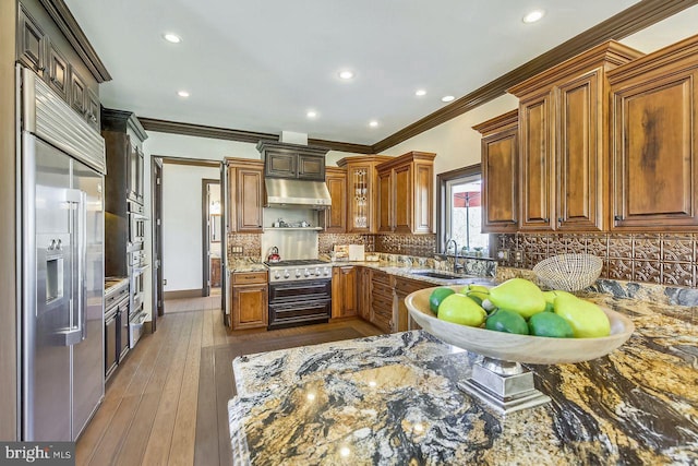 kitchen featuring sink, dark stone countertops, and high quality appliances