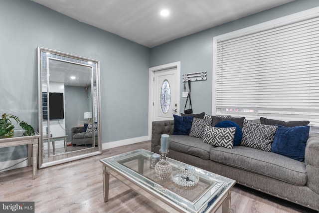 living room featuring hardwood / wood-style floors