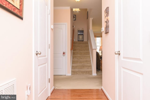 hall featuring ornamental molding and hardwood / wood-style flooring