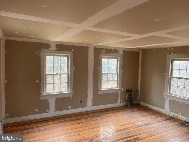 spare room with a wealth of natural light and hardwood / wood-style flooring