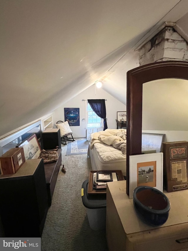 interior space featuring carpet and vaulted ceiling