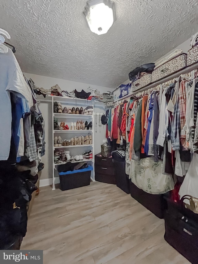 spacious closet featuring wood-type flooring