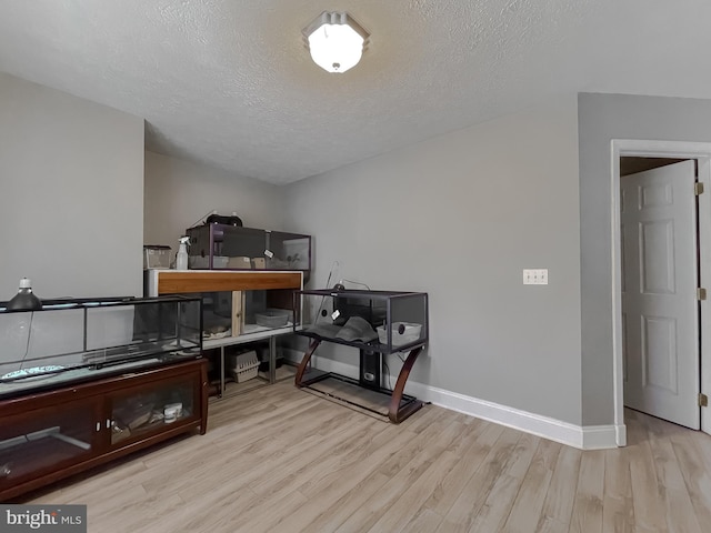 miscellaneous room with a textured ceiling and light hardwood / wood-style flooring