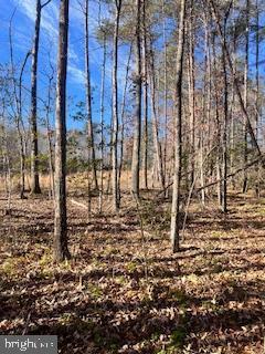 LOT45 Vermont Rd, Rhoadesville VA, 22542 land for sale