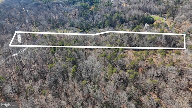 LOT45 Vermont Rd, Rhoadesville, VA 22542