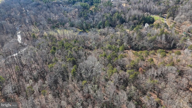 LOT45 Vermont Rd, Rhoadesville, VA 22542