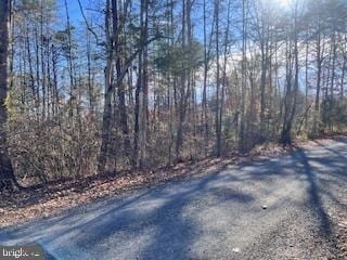 Listing photo 3 for LOT45 Vermont Rd, Rhoadesville VA 22542