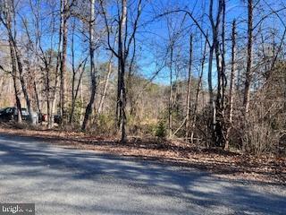 LOT45 Vermont Rd, Rhoadesville, VA 22542