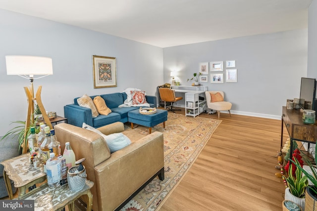 living room with wood-type flooring