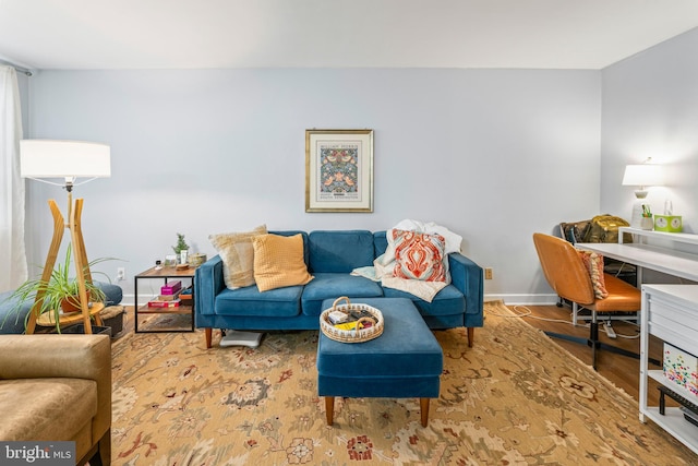 living room featuring hardwood / wood-style flooring