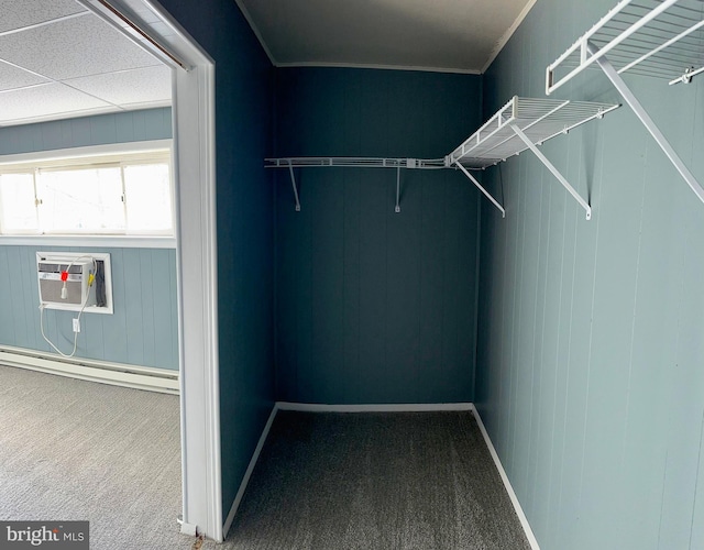 spacious closet with carpet and baseboard heating