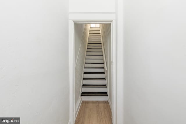 stairs featuring hardwood / wood-style flooring