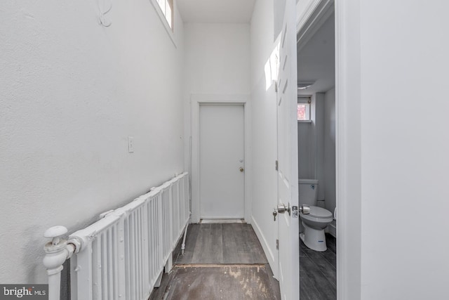 hallway with dark wood-type flooring