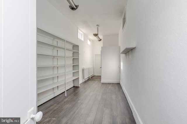 spacious closet with dark hardwood / wood-style flooring and radiator