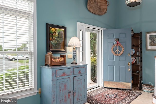 foyer entrance featuring hardwood / wood-style flooring and a wealth of natural light