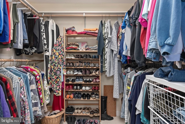 walk in closet featuring carpet floors