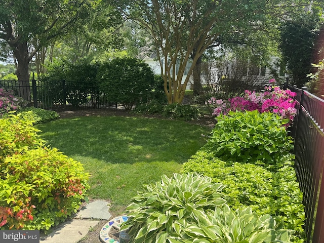 28527 Augusta Ct, Easton, MD 21601 - view of yard