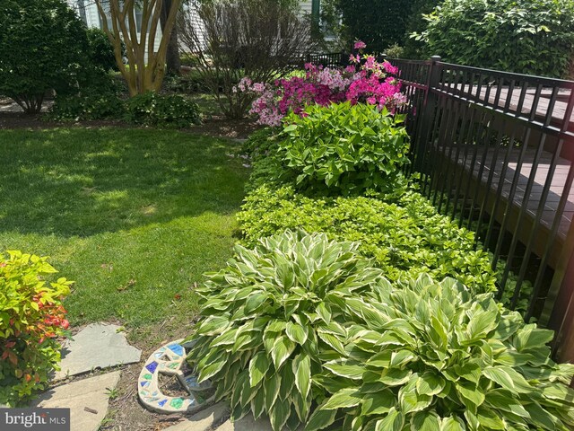 28527 Augusta Ct, Easton, MD 21601 - view of yard